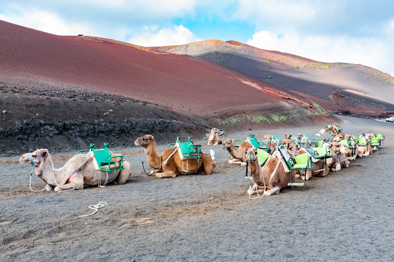 Echadero de camellos